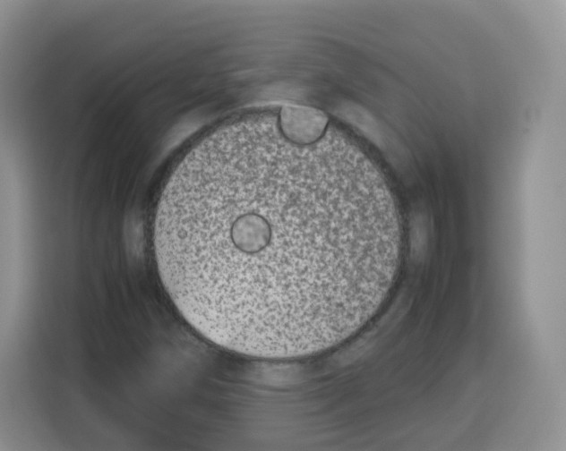 X0000115141258200911241459