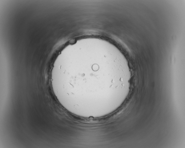 X0000115141261200911241458
