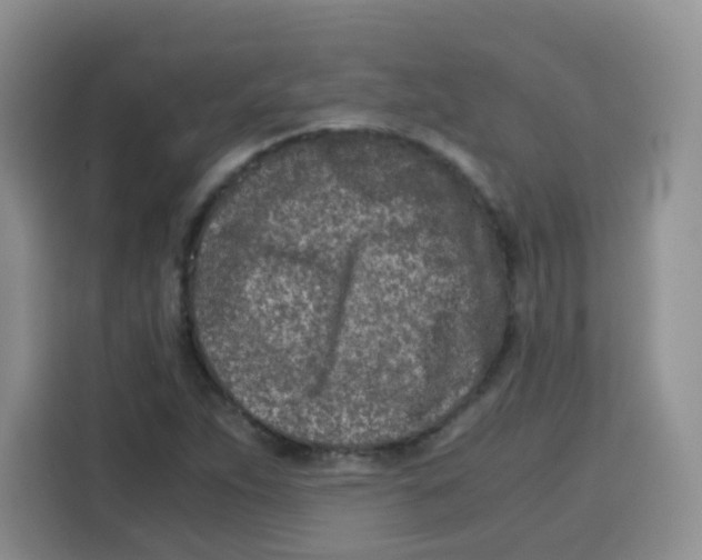 X0000115141263200911241458