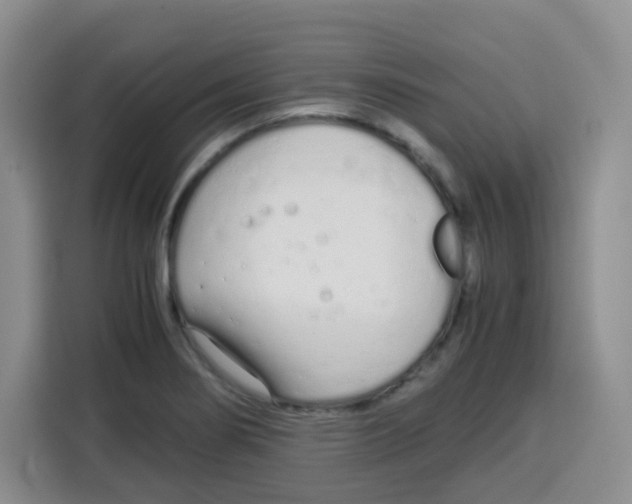 X0000115141274200911241458