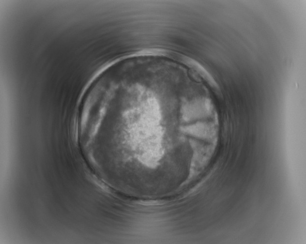 X0000115141276200911241458
