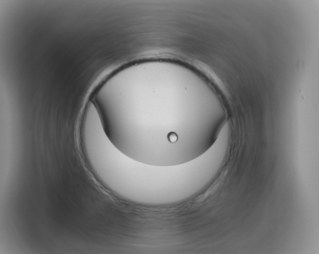 X0000115141277200911241458