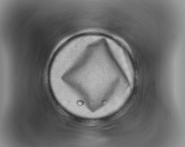X0000115141279200911241458