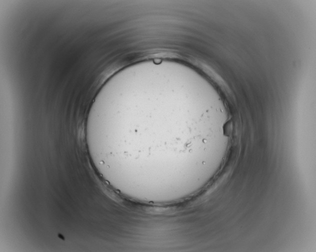 X0000115141281200911241458