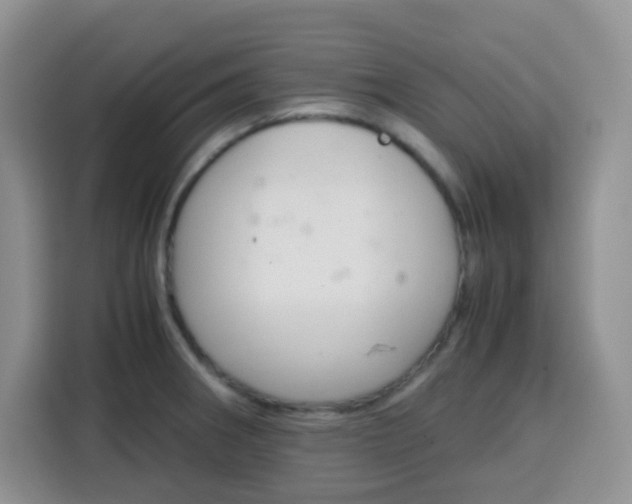 X0000115141282200911241458