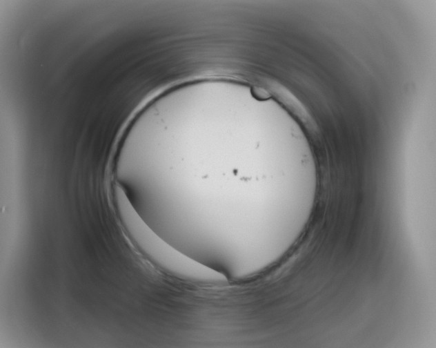 X0000115141284200911241458