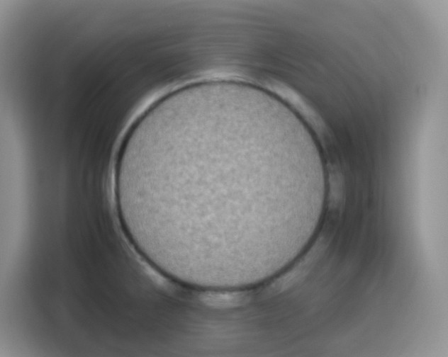 X0000115141286200911241458