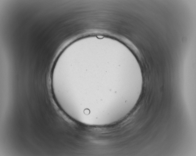 X0000115141287200911241458