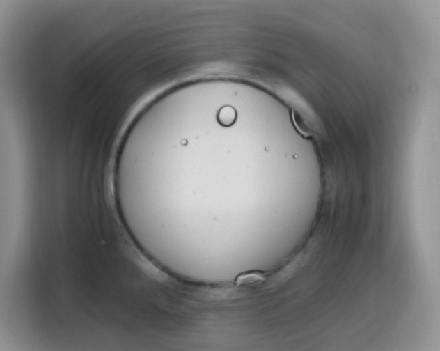 X0000115141288200911241458