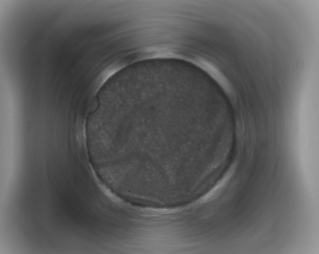 X0000115141289200911241458