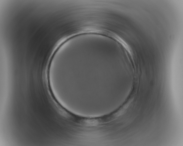 X0000115141291200911241458