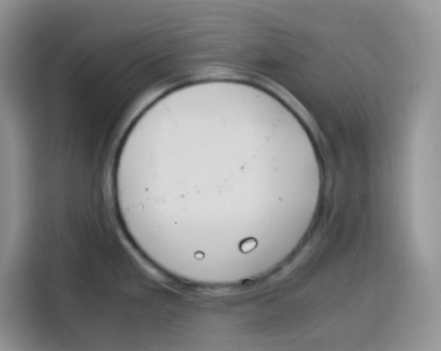 X0000115141293200911241458