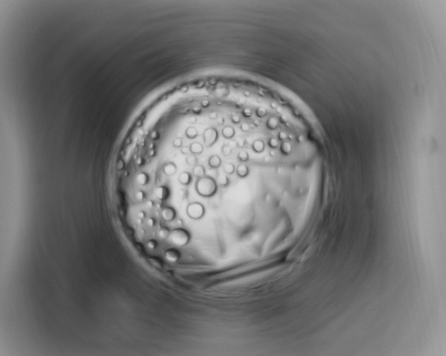 X0000115141295200911241458