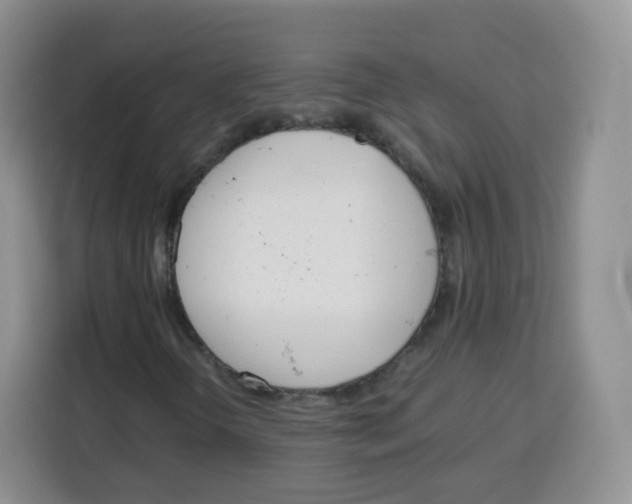 X0000115141298200911241457