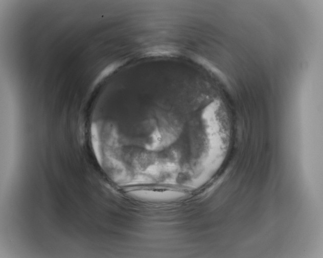 X0000115141306200911241458