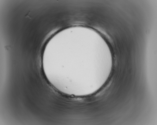 X0000115141317200911241458