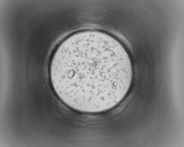 X0000115141318200911241458
