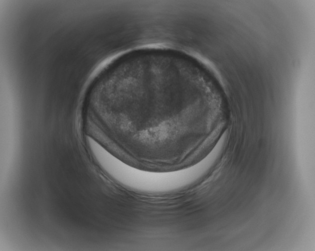 X0000115141319200911241458