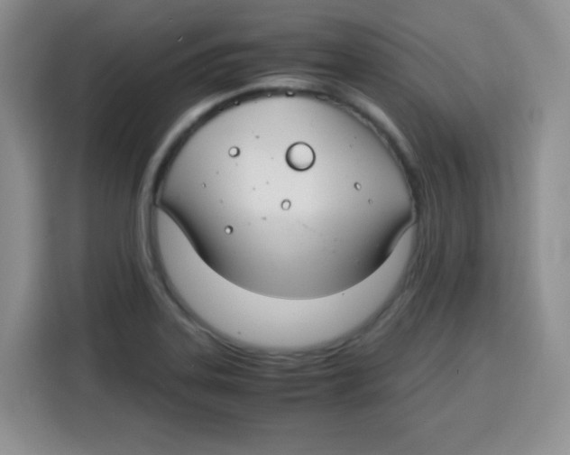 X0000115141323200911241458