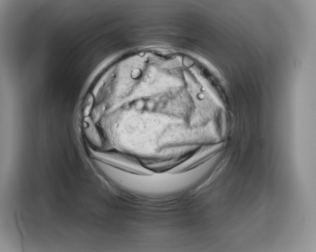 X0000115141325200911241458