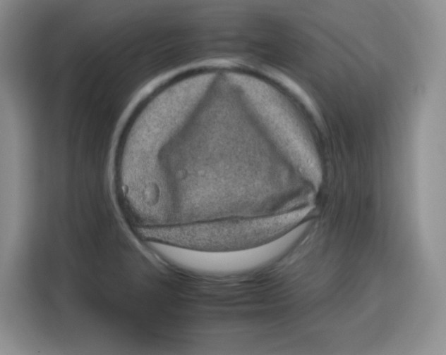 X0000115141327200911241458
