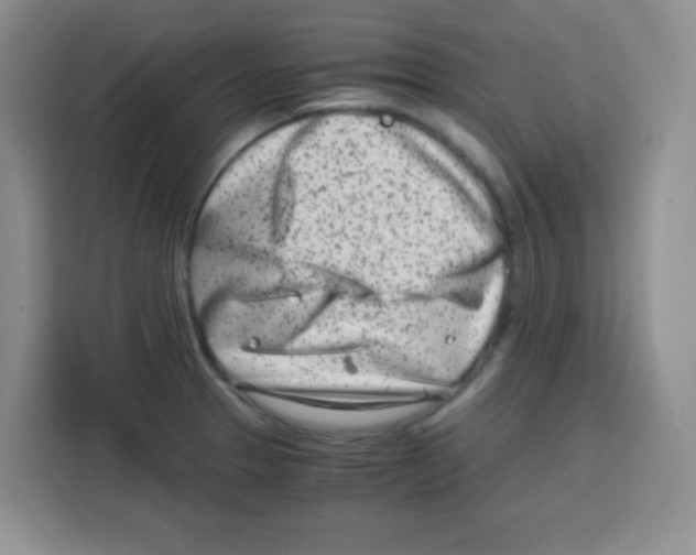 X0000115141329200911241458