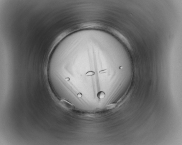 X0000115141330200911241458