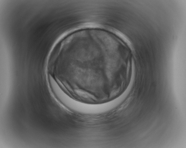 X0000115141334200911241458