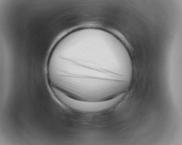 X0000115141335200911241458