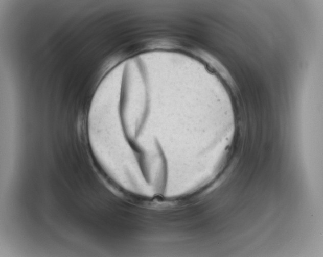 X0000115141337200911241458