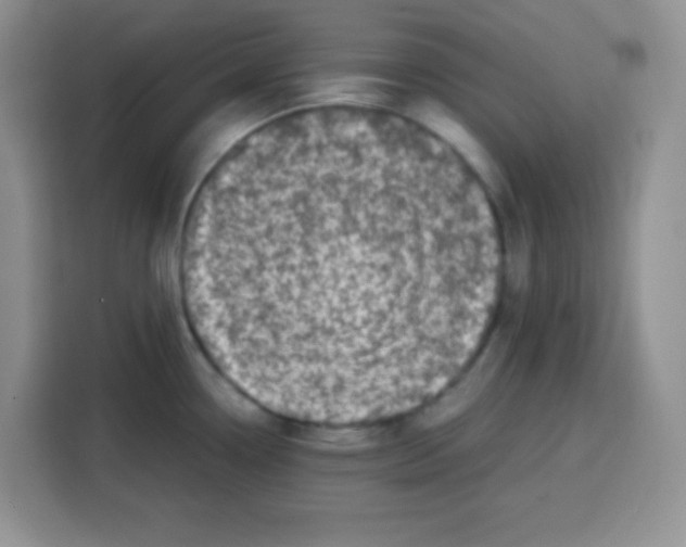 X0000115141338200911241458
