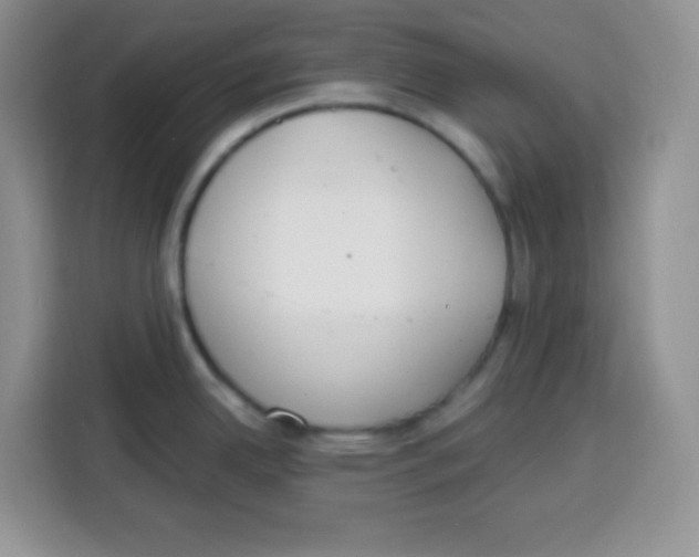 X0000115141342200911241458