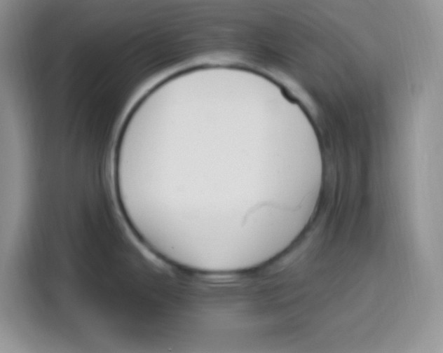 X0000115141343200911241458