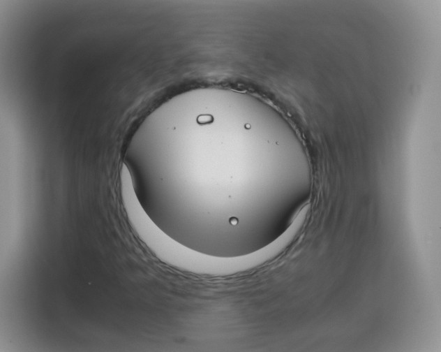 X0000115141349200911241457