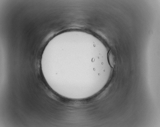 X0000115141355200911241457