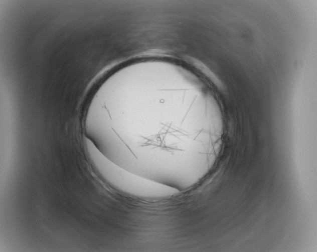 X0000115141356200911241457