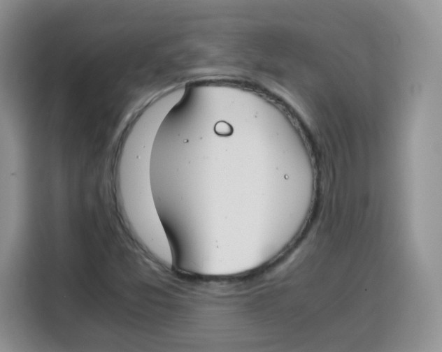 X0000115141357200911241457