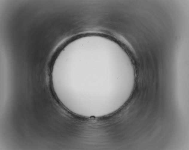 X0000115141360200911241457