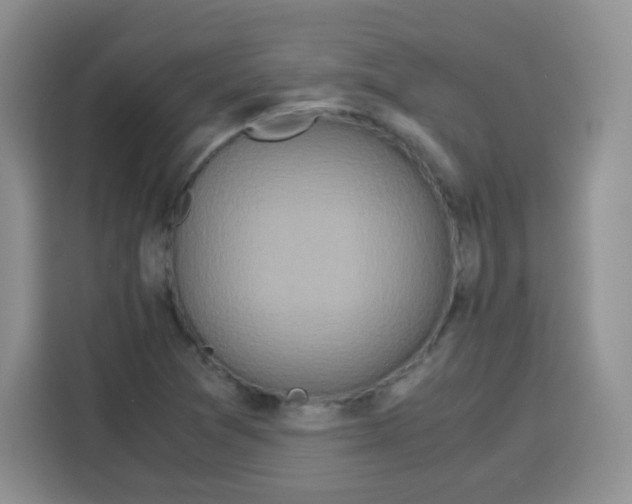 X0000115141361200911241457