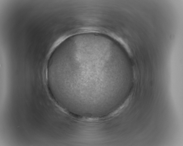 X0000115141365200911241457