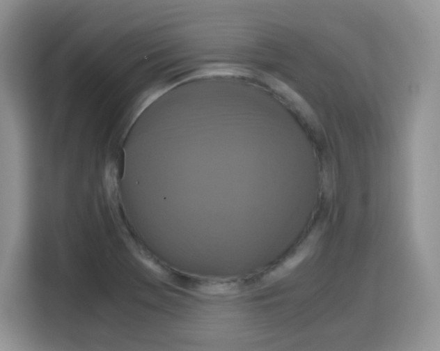 X0000115141369200911241457