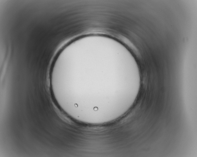 X0000115141372200911241457