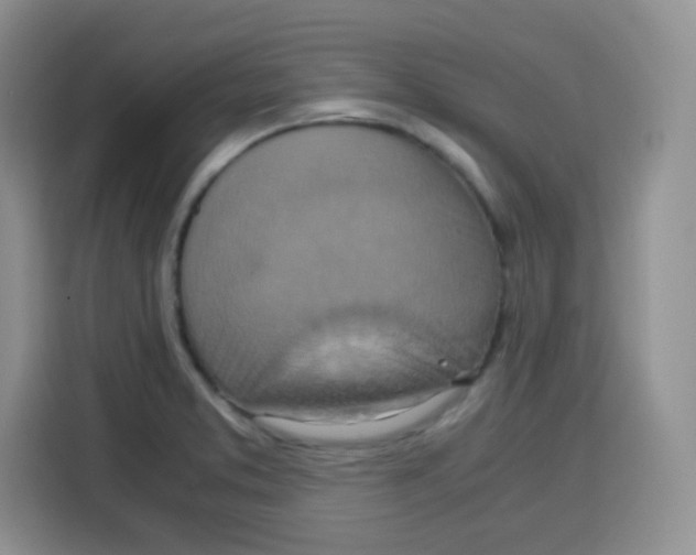 X0000115141373200911241457