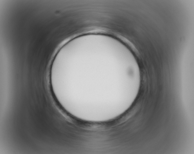 X0000115141375200911241457
