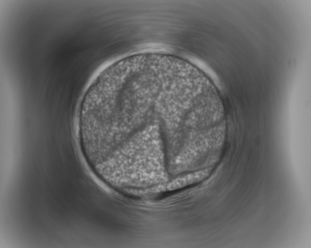 X0000115141383200911241457