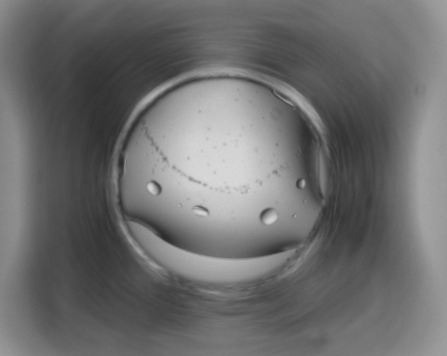 X0000115141388200911241457