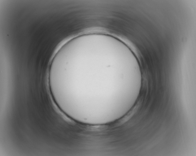 X0000115141390200911241457