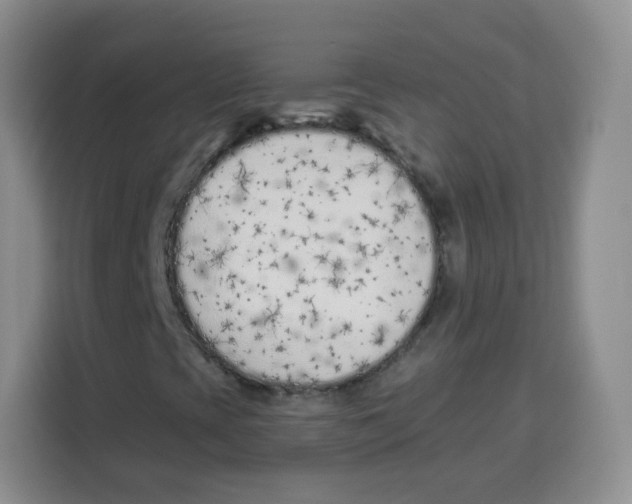 X0000115141393200911241456