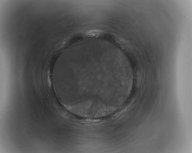 X0000115141394200911241456