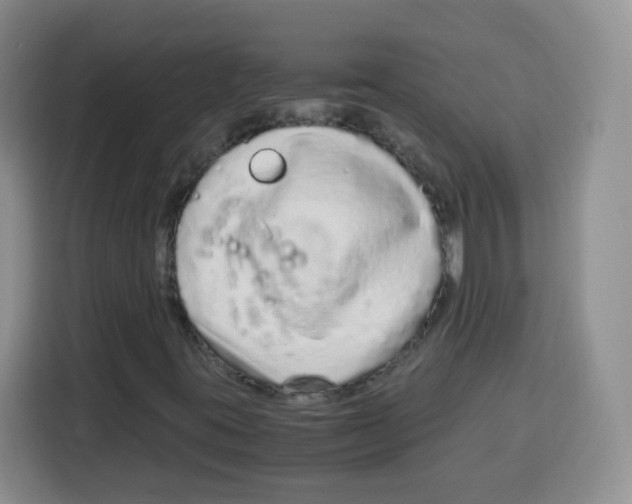 X0000115141395200911241456